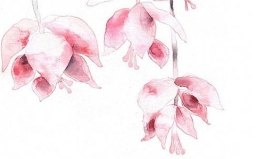 今天万年历2029年05月01日出行的好日子,出行吉日