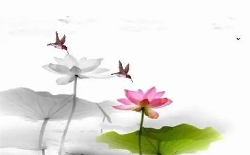 农历二〇三〇年九月初一黄历旅行适宜吗,这天出行合适吗