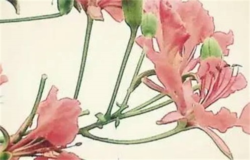 今天农历二〇二九年四月廿四黄历外出推荐吗,出行吉日