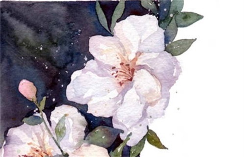 2027年02月27日出行黄历查询