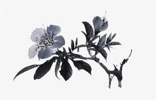 2029年01月01日出行黄历查询