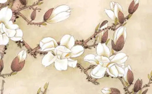 2031年05月16日不适宜出行吗,出行吉日查询