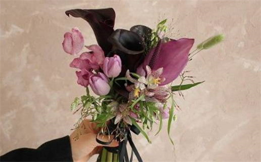 免费算命生辰八字合婚(免费算命网八字合婚)