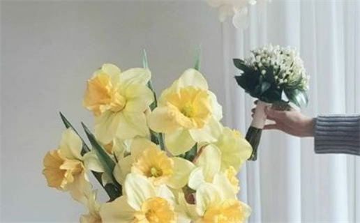 属相婚姻算命_属相婚姻算命准不准