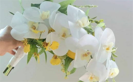 免费算命生辰八字测_免费算命生辰八字测运势