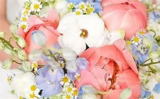 搭婚姻桥的秘诀与算命大师的智慧分享