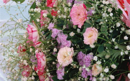 在线免费算命婚姻帮助你解读爱情密码