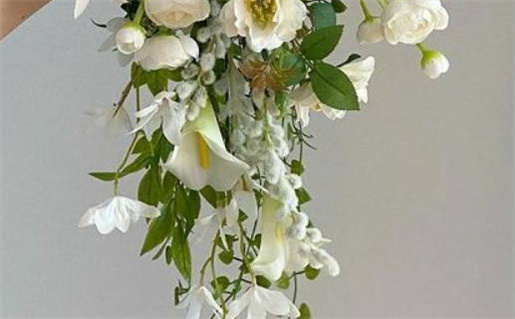 揭开八字算命的历史与来源探秘中国传统命理学