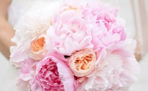 周易婚姻免费算命揭示你的爱情命运