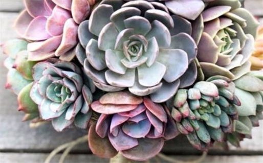 2027年03月04日动土黄历查询