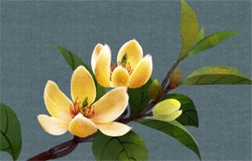 农历二〇三〇年四月廿四黄历不适宜开工建设吗,动土好日子有哪些