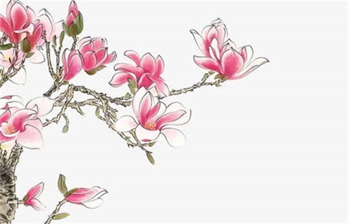 2032年05月08日动土黄历查询