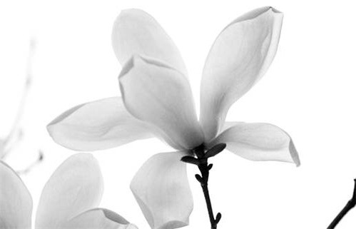 2030年11月17日动土黄历查询