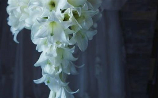 今日万年历2031年05月12日完婚吉日,结婚好日子查询