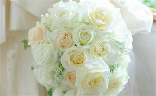 2028年10月20日结婚黄历查询 2028年10月20日结婚黄历查询