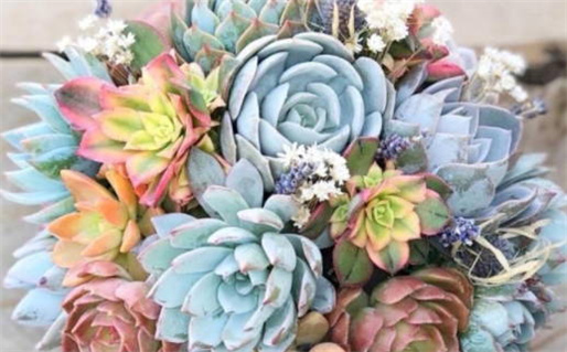 2031年10月17日结婚黄历查询 2031年10月17日结婚黄历查询