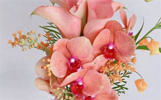 2027年02月19日结婚黄历查询