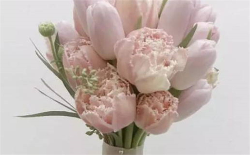 今日2026年09月20日婚姻登记老黄历不适宜吗,农历二〇二六年八月初十领证日子