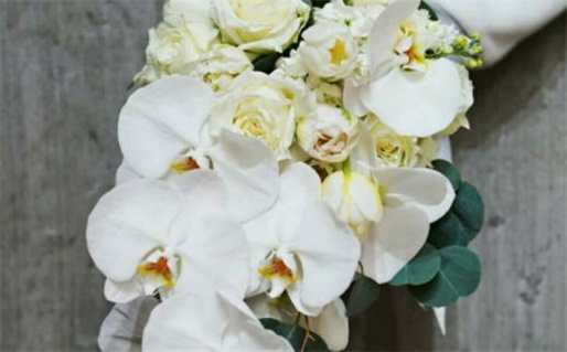 2034年04月16日领证黄历查询