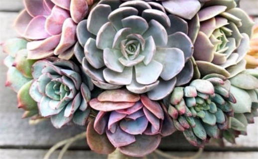 农历二〇三一年十月廿六黄历办证不推荐吗,领证吉日查询