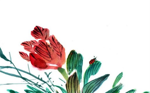 2029年05月02日不推荐领取结婚证吗,领证吉日查询