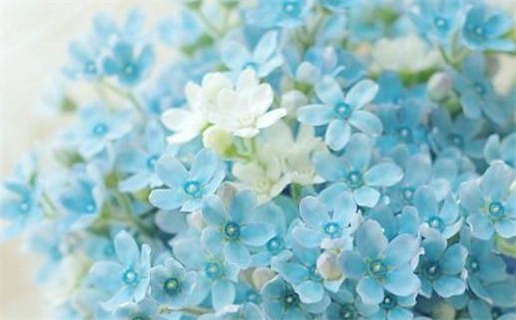 2028年05月18日乔迁黄历查询