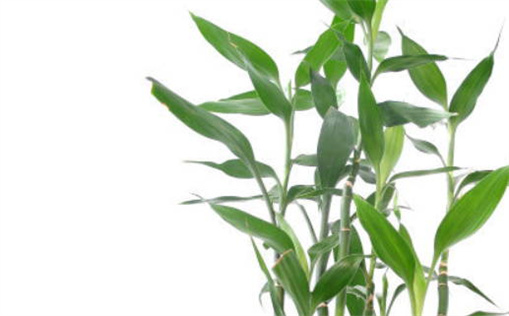 今日万年历2027年02月16日搬新家的好日子,乔迁吉日