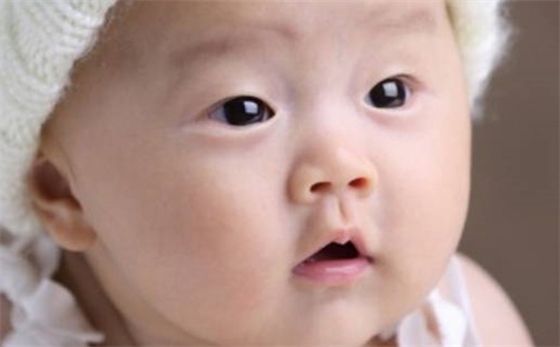 杨姓女孩子取名