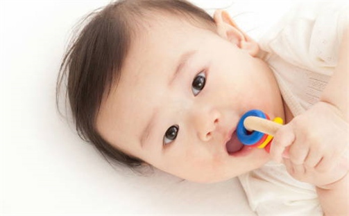 赵姓精致典雅的女生名字