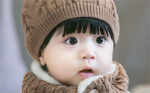 杨姓男孩子取名