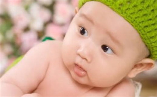 张姓女孩子取名