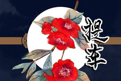 2027年1月27日提车指南：不宜日选择与相关禁忌解析