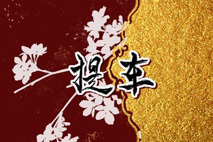 2029年04月19日提车黄历查询 2029年04月19日提车黄历查询