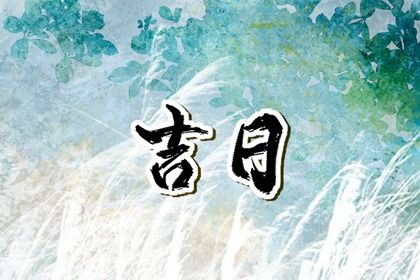 今天农历二〇三八年二月二十黄历提取爱车不适合吗,提车吉日