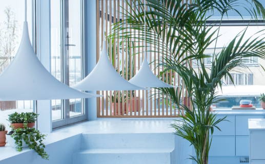 2029年12月15日装修黄历查询