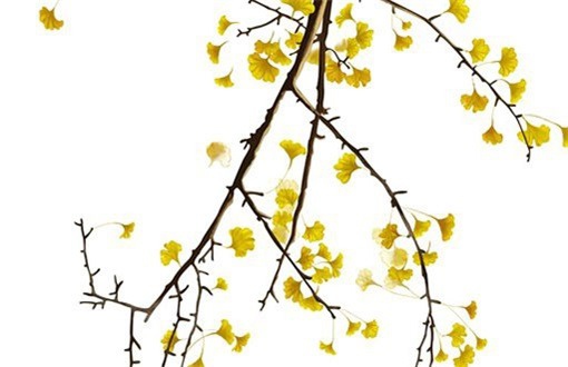 2027年06月06日装修黄历查询